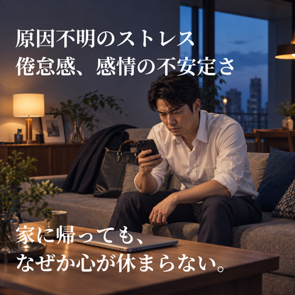 Torsion Qi Ease トーション 氣 イーズ