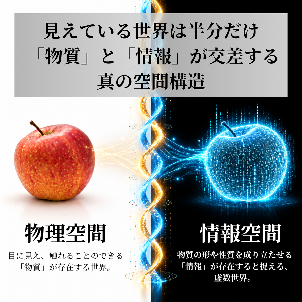 Torsion Qi Ease トーション 氣 イーズ